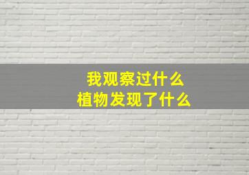 我观察过什么植物发现了什么