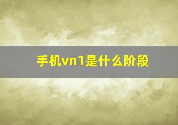 手机vn1是什么阶段