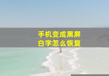 手机变成黑屏白字怎么恢复