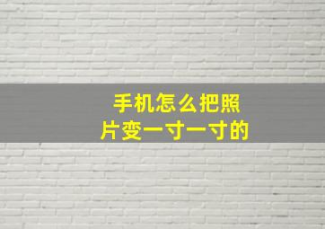 手机怎么把照片变一寸一寸的