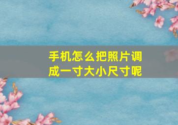 手机怎么把照片调成一寸大小尺寸呢