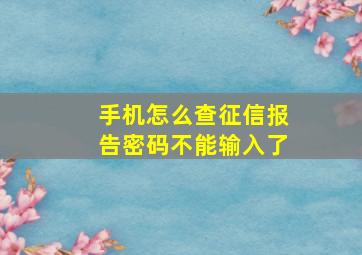 手机怎么查征信报告密码不能输入了