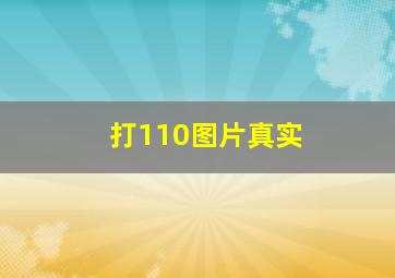 打110图片真实