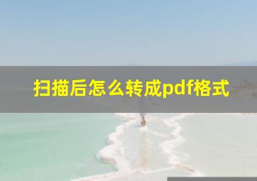 扫描后怎么转成pdf格式