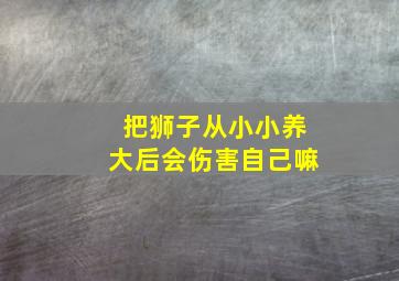 把狮子从小小养大后会伤害自己嘛