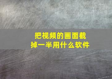 把视频的画面截掉一半用什么软件