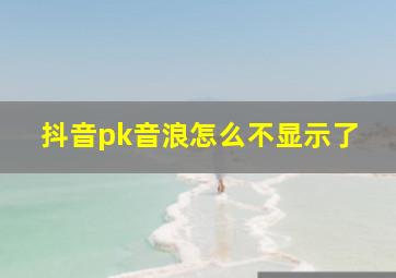 抖音pk音浪怎么不显示了