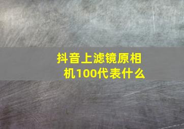 抖音上滤镜原相机100代表什么