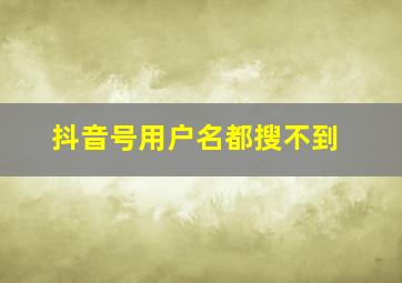 抖音号用户名都搜不到