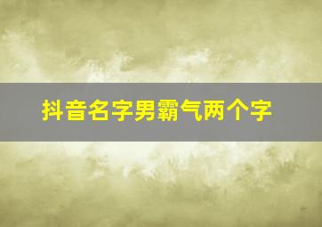 抖音名字男霸气两个字