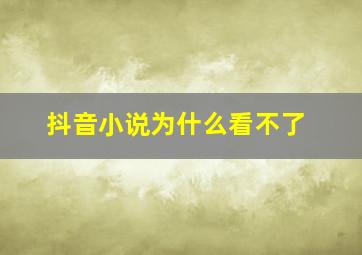 抖音小说为什么看不了