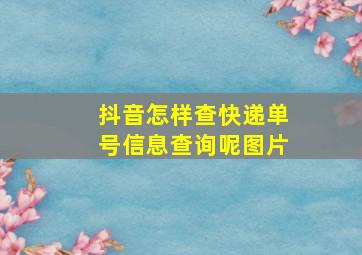 抖音怎样查快递单号信息查询呢图片