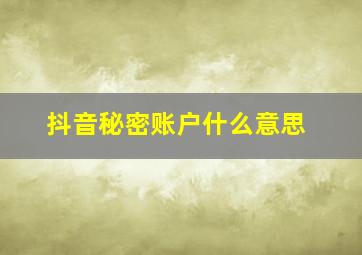 抖音秘密账户什么意思