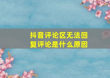 抖音评论区无法回复评论是什么原因