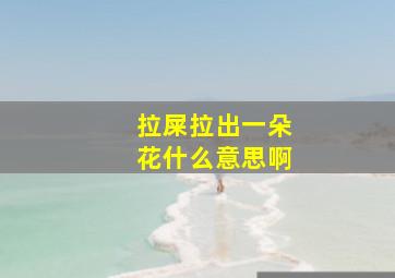 拉屎拉出一朵花什么意思啊