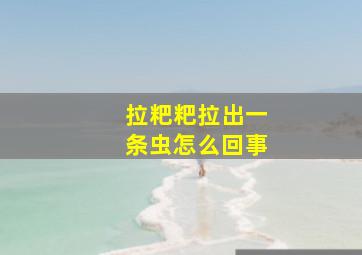 拉粑粑拉出一条虫怎么回事