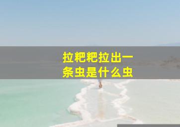 拉粑粑拉出一条虫是什么虫