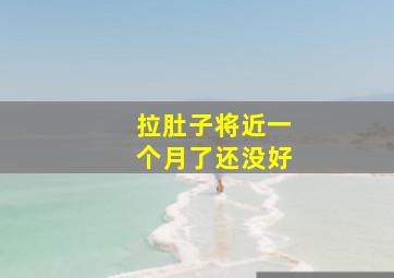 拉肚子将近一个月了还没好