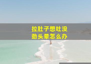 拉肚子想吐没劲头晕怎么办