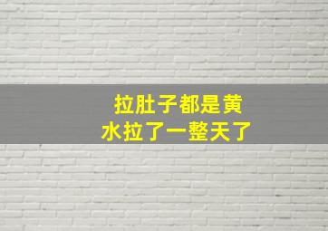 拉肚子都是黄水拉了一整天了