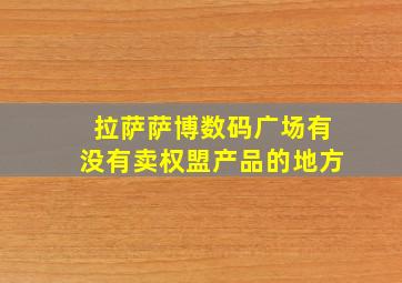 拉萨萨博数码广场有没有卖权盟产品的地方