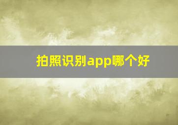 拍照识别app哪个好