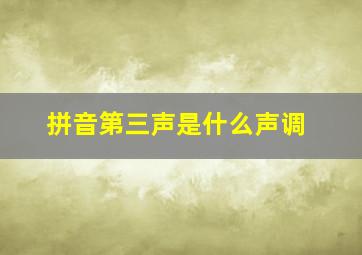 拼音第三声是什么声调