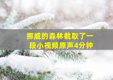 挪威的森林截取了一段小视频原声4分钟