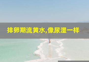 排卵期流黄水,像尿湿一样