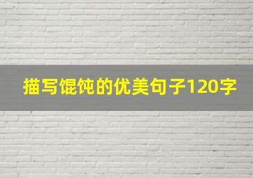 描写馄饨的优美句子120字