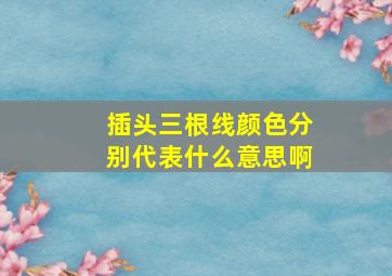 插头三根线颜色分别代表什么意思啊