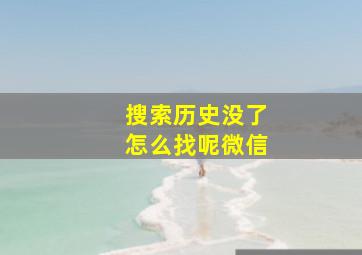 搜索历史没了怎么找呢微信