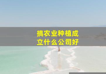 搞农业种植成立什么公司好