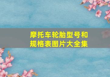 摩托车轮胎型号和规格表图片大全集