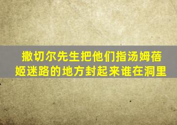 撒切尔先生把他们指汤姆蓓姬迷路的地方封起来谁在洞里