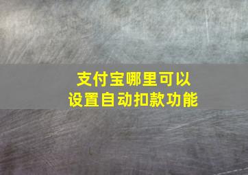 支付宝哪里可以设置自动扣款功能