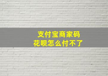 支付宝商家码花呗怎么付不了