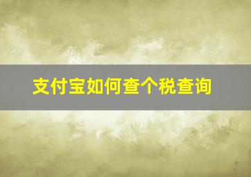 支付宝如何查个税查询