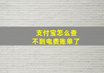 支付宝怎么查不到电费账单了