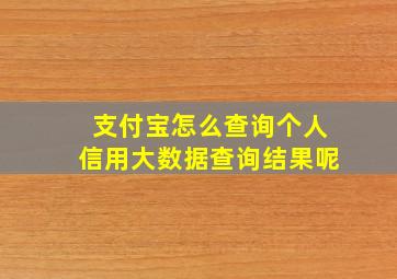 支付宝怎么查询个人信用大数据查询结果呢