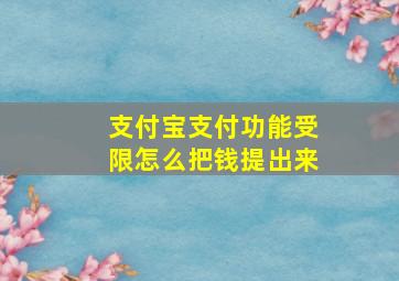 支付宝支付功能受限怎么把钱提出来