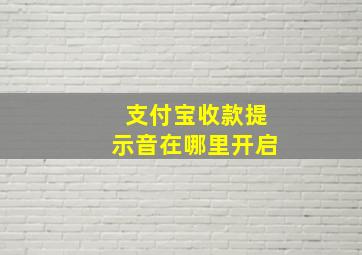 支付宝收款提示音在哪里开启