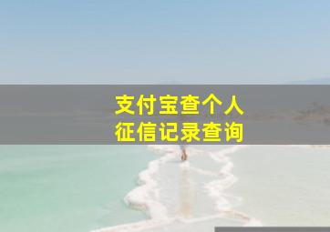 支付宝查个人征信记录查询