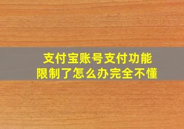 支付宝账号支付功能限制了怎么办完全不懂