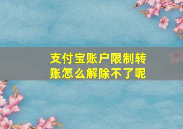 支付宝账户限制转账怎么解除不了呢