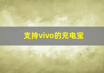 支持vivo的充电宝