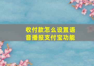 收付款怎么设置语音播报支付宝功能