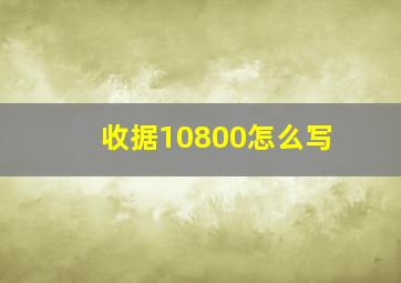 收据10800怎么写