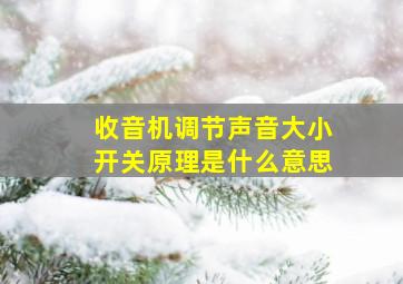 收音机调节声音大小开关原理是什么意思