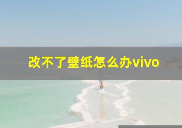 改不了壁纸怎么办vivo